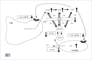 図5